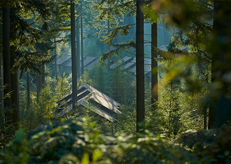 A view through the trees of lodge roofs