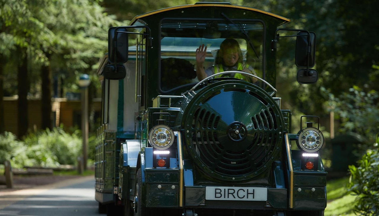 The land train at Longleat Forest, a train that can help transport guests around the village .